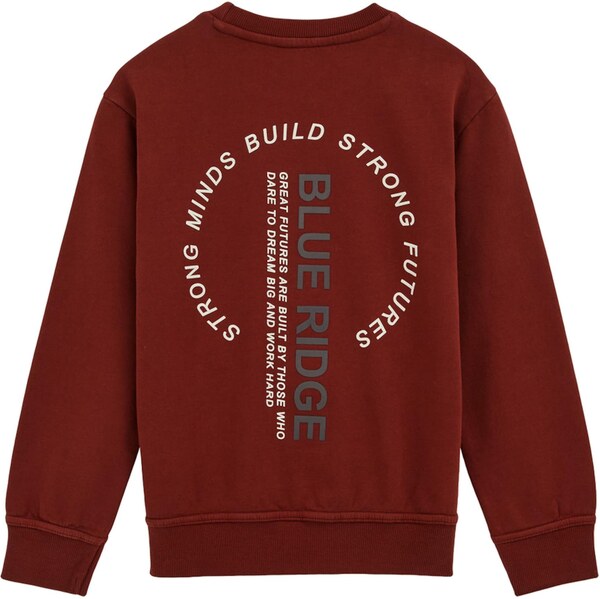 WE Fashion Mikina nefritová / čerešňová / biela 65835110