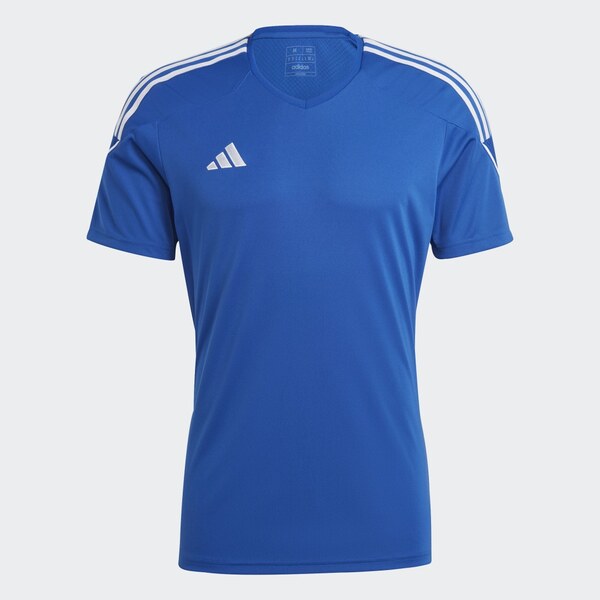 Adidas Dres Tiro 23 League 66438584