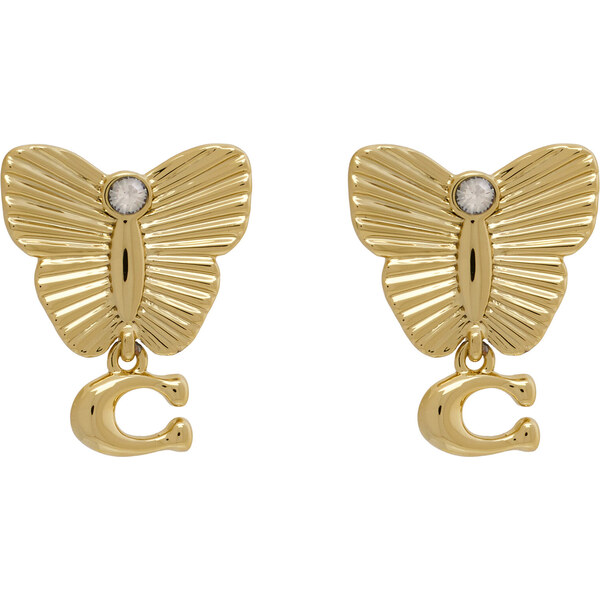 Náušnice Coach 65458699