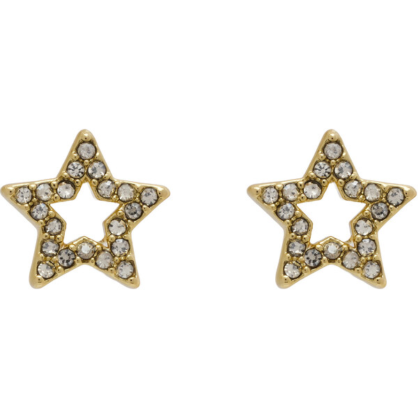 Náušnice Coach 65458688