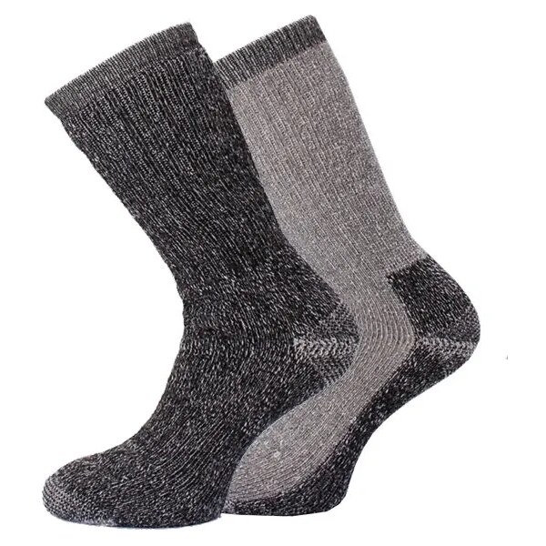 2PACK Pánske termo ponožky WiK 17222 39-46 65545878