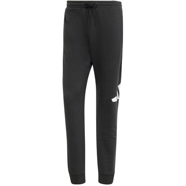 Nohavice adidas Essentials Big Logo French Terry M IN6163 65549179