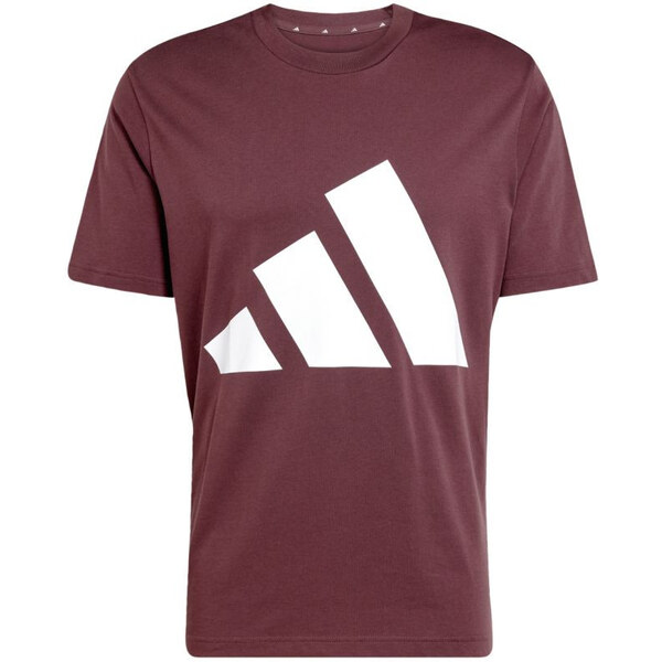 Tričko adidas Essentials Big Logo M JE8939 men 65550935