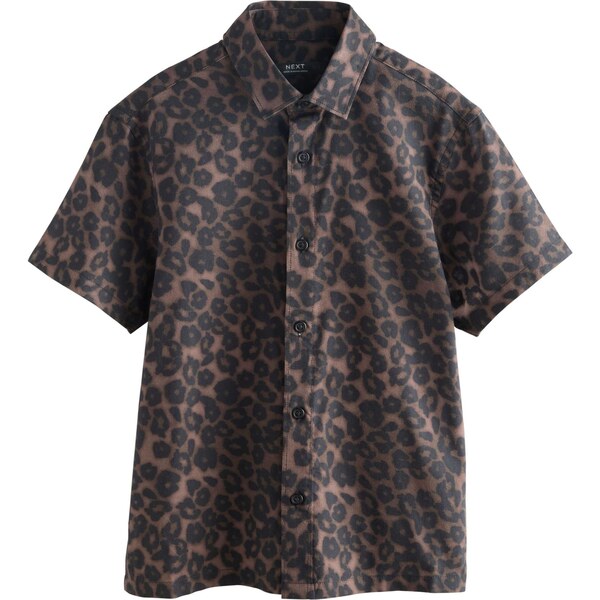 Next Tričko hnedá / tmavohnedá 65889005