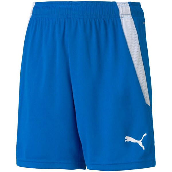 Puma teamLIGA Šortky Jr 704931 02 65722799
