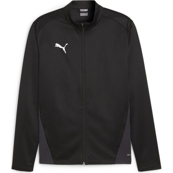Puma TeamGoal Training Jacket M 658633 03 Pánske 65574402