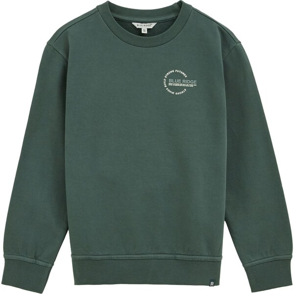 WE Fashion Mikina tmavozelená / biela 65835108