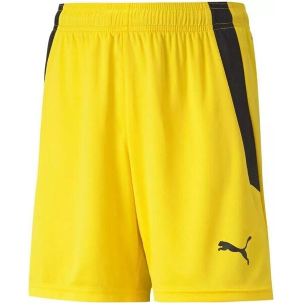 Puma teamLIGA Šortky Jr 704931 07 65725541