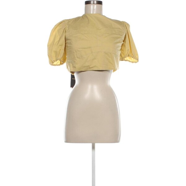 Dámska blúza Pinko 65700350