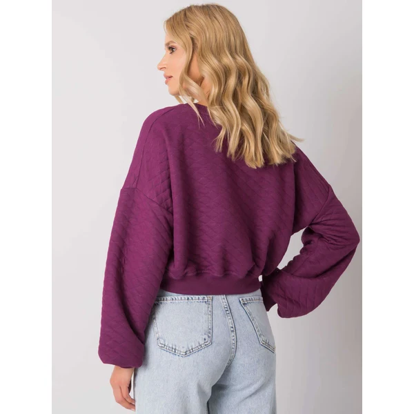 FPrice Mikina RV BL 7450.64 tmavo fialová 49740404