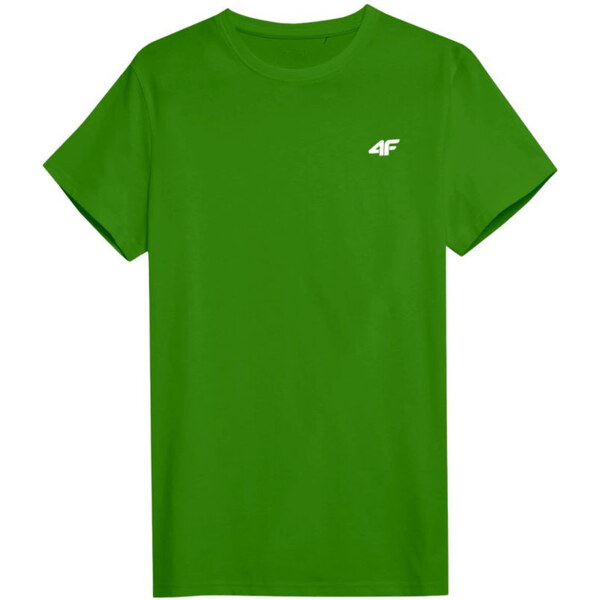 Tričko 4F M3095 M 4FWSS25TTSHM3095 41S pánske 65721349