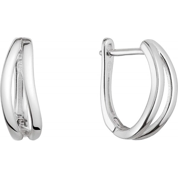 Evolution Group Nežné kruhové náušnice zo striebra 61018 66583711