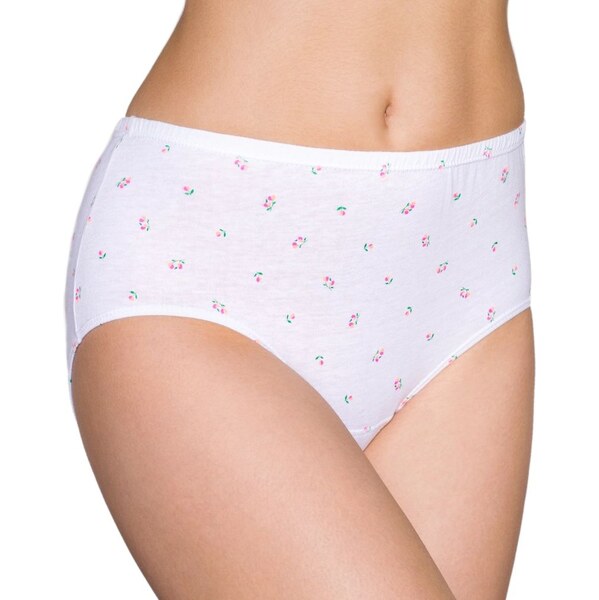 LAMA Dámske nohavičky 6 pack Manuela mix plus 62232141