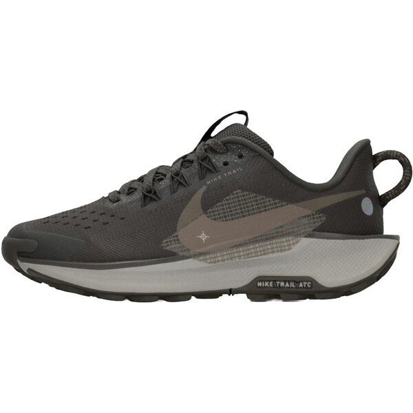 NIKE Športová obuv Pegasus Trail 5 brokátová / tmavohnedá / grafitová 65896382