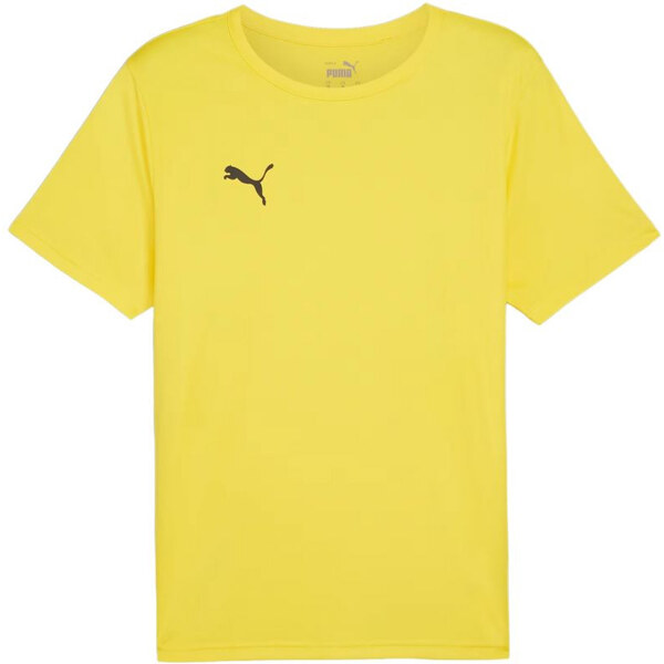Puma teamRISE Matchday Jersey M 706132 07 muži 65801286