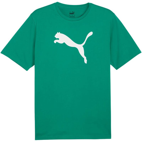 Puma Team Rise Logo Jersey Cotton M 658705 05 muži 65801282