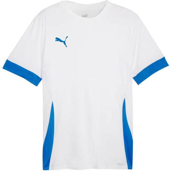 Puma teamGoal Matchday Jersey M 705747 12 muži 65807746