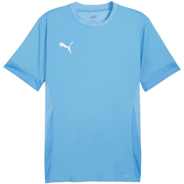 Puma teamGoal Matchday Jersey M 705747 18 muži 65807748