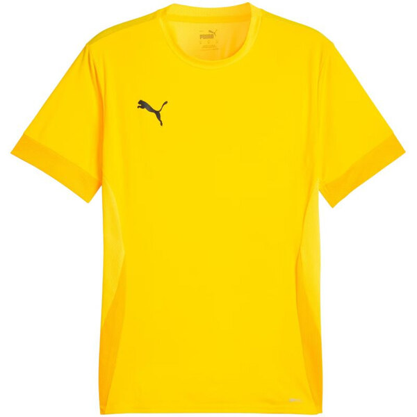 Puma teamGoal Matchday Jersey M 705747 07 muži 65807762