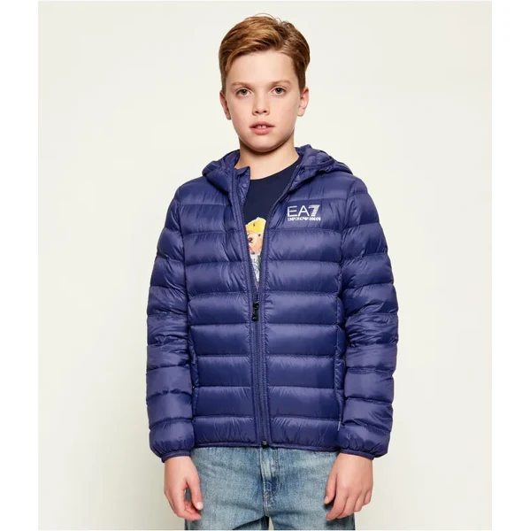 EA7 Páperová bunda | regular fit 65859728