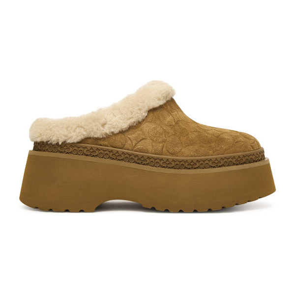 Papuče Coach 65860556