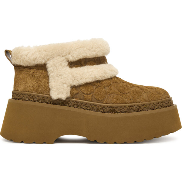 Snehule Coach 65953174