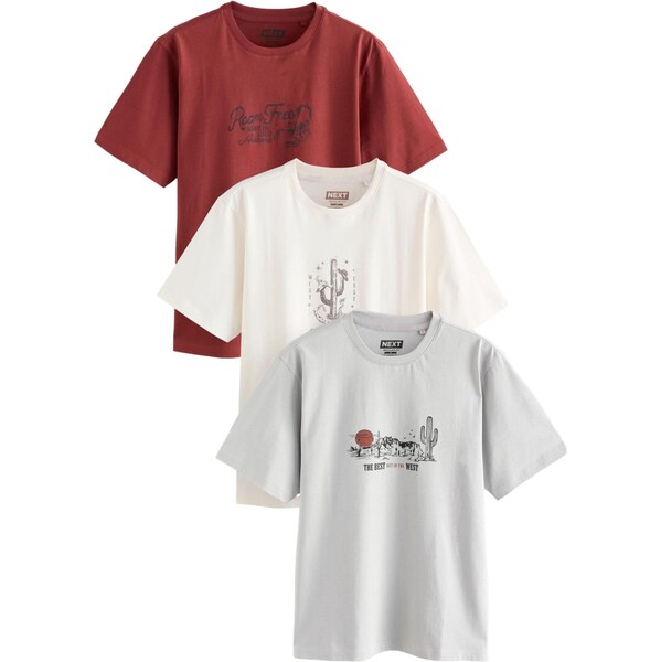 Next Tričko sivá / hrdzavo červená / čierna 65861769