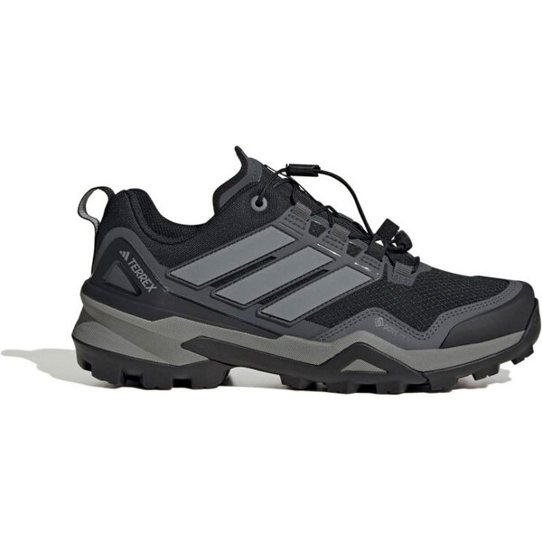 Dámska obuv Adidas Terrex Skychaser GTX W IH1098 65909828