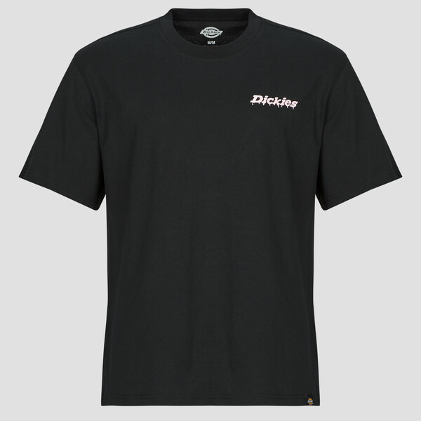 Dickies Tričká s krátkym rukávom STATESVILLE TEE SS BLACK Dickies 65952902
