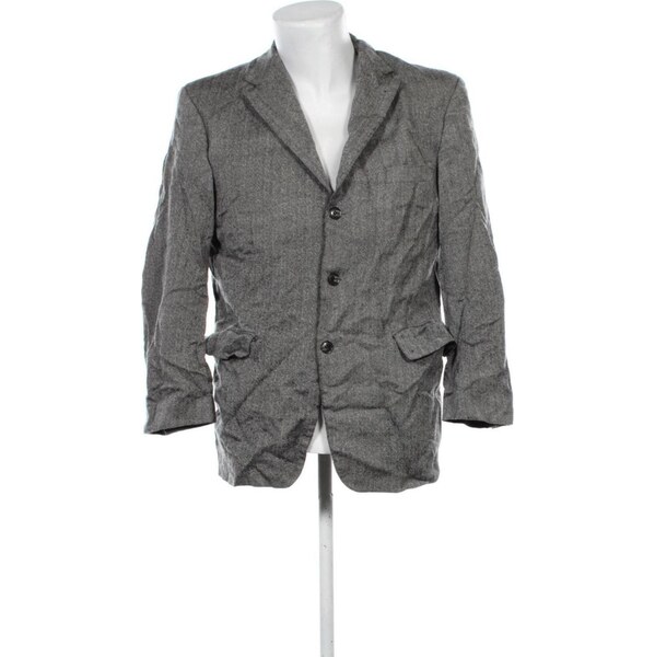 Pánske sako Roy Robson 65961780