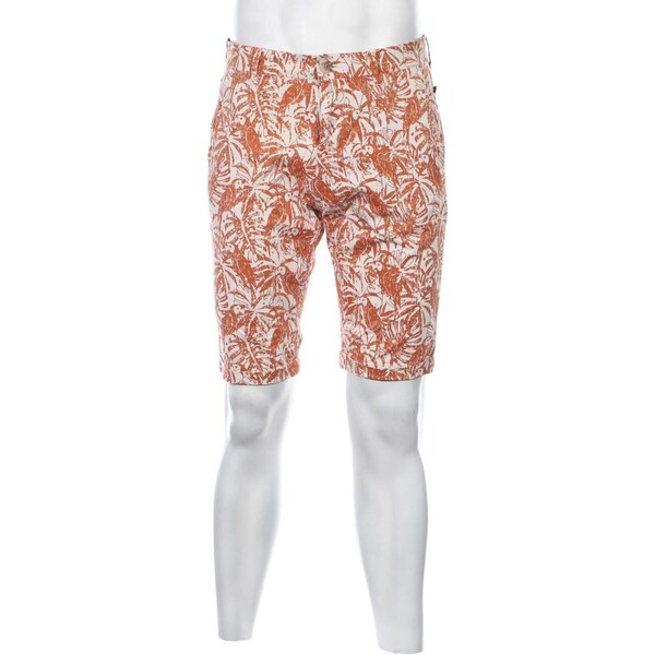 Pánske kraťasy Tom Tailor 65994749