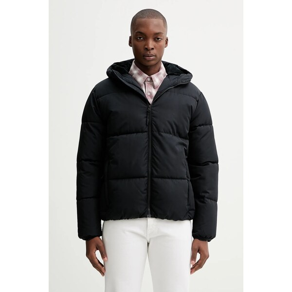 Bunda Hollister Co. 66016819