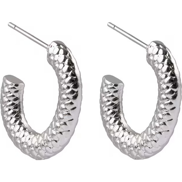 Emily Westwood Elegantné oceľové kruhy Cymelle EWE250342S 66588128