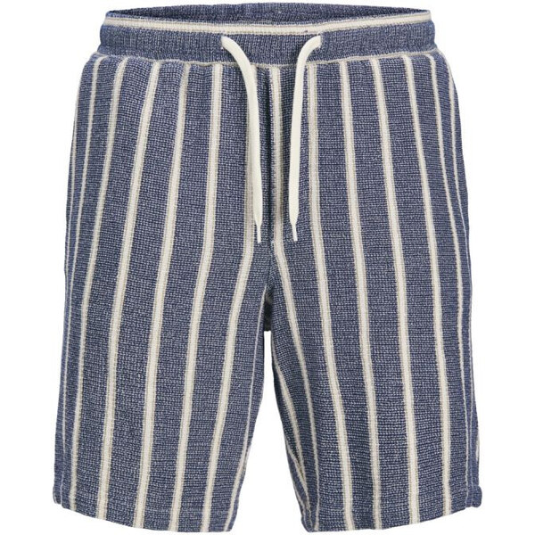 Jack&Jones krátke nohavice JPSTJAIDEN COBA STRIPE JOG SHORTS REG SN 66030392