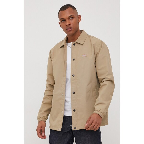 Bunda Dickies 48502875