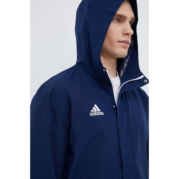 Bunda adidas Performance Entrada 22 41356437