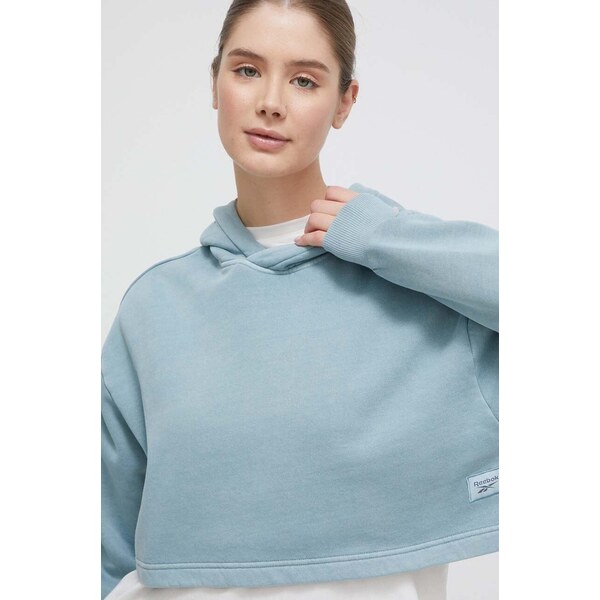 Mikina Reebok Classic 64304887