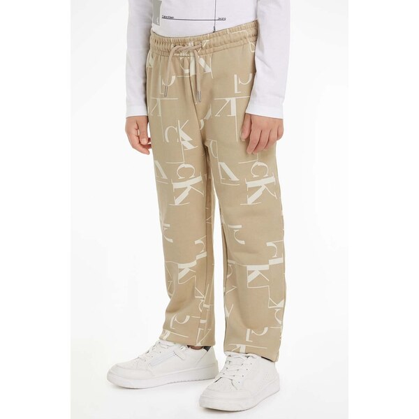 Detské bavlnené tepláky Calvin Klein Jeans TERRY JOGGER 52686467