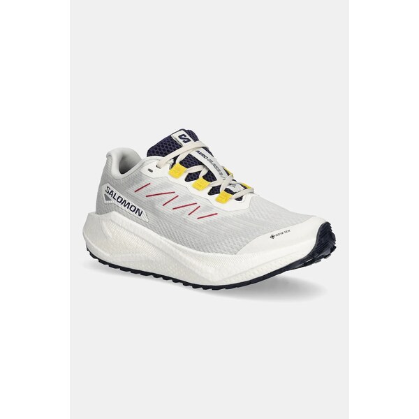 Tréningové topánky Salomon AERO BLAZE 3 GRVL 66021869