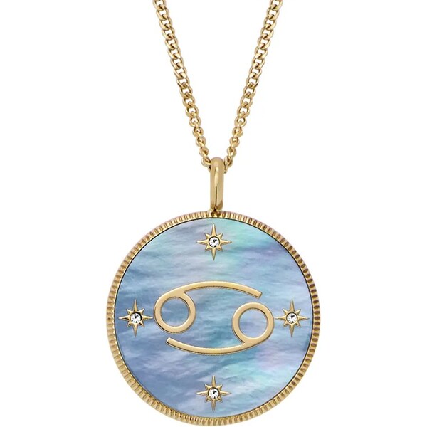 Náhrdelník Fossil JEWELRY 64324823