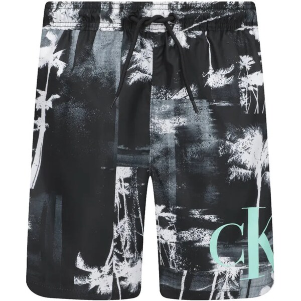 Calvin Klein Swimwear Šortky na plávanie | Regular Fit 51223791