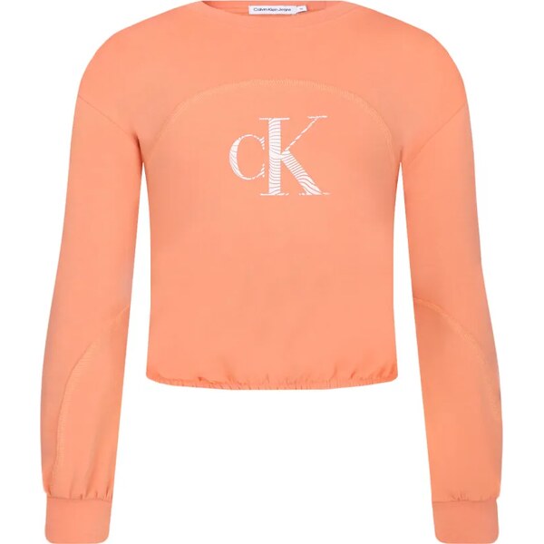 Calvin Klein Jeans Mikina | Relaxed fit 49927168