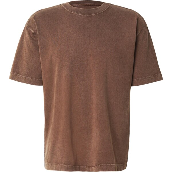 HOLLISTER Tričko hnedá 66146951