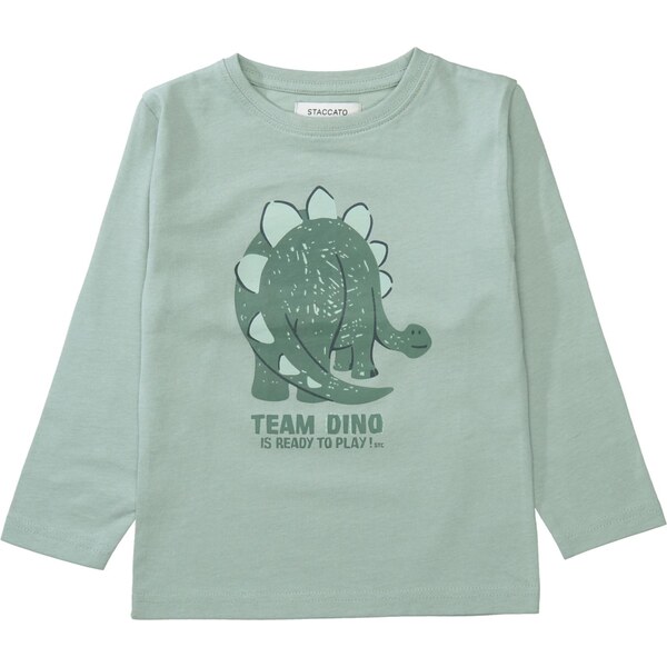 STACCATO Tričko zelená / pastelovo zelená 66200392