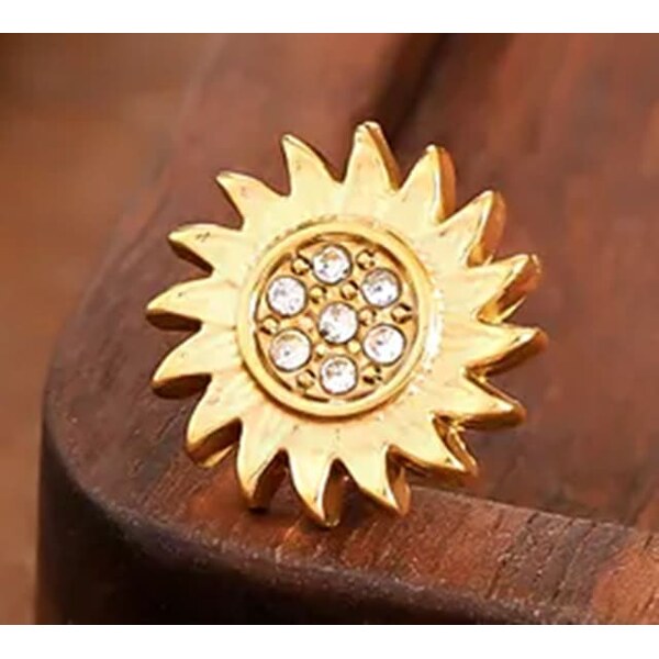 Oceľová náušnica Glare 461 66211259