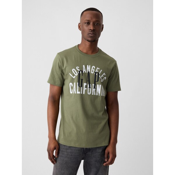 GAP Pánske Tričko s logom 402407-02 66267121