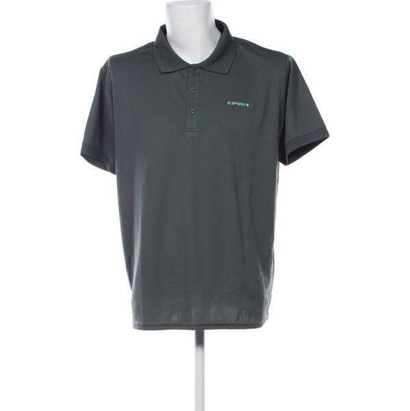 Pánske tričko Icepeak 66213784