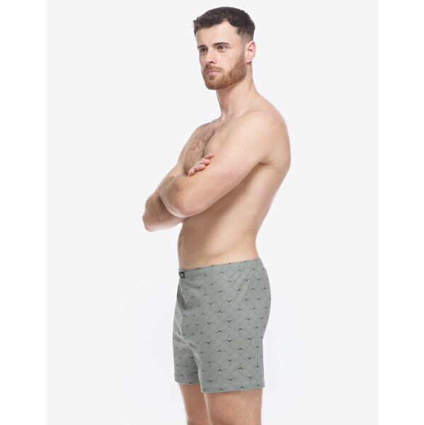 Pánske trenky Gino viacfarebné (75214-MxGDxG) 66228279