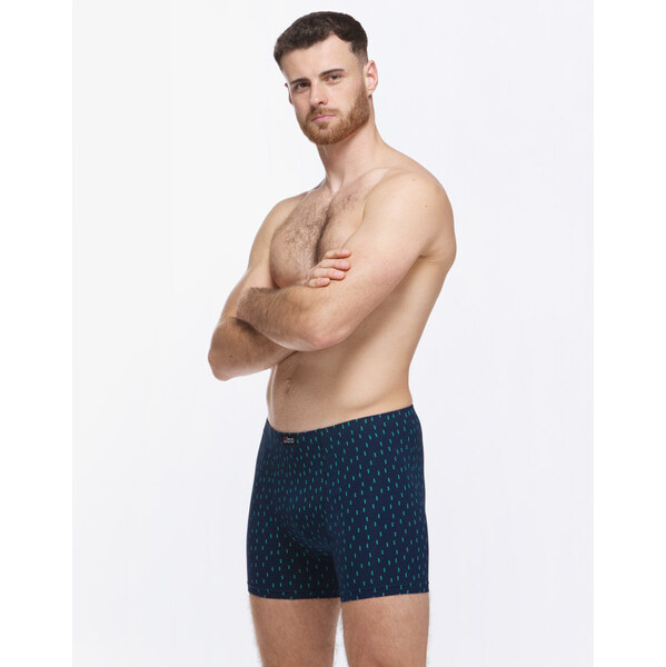 Pánske boxerky Gino viacfarebné (74181-DCMMMZ) 66228283