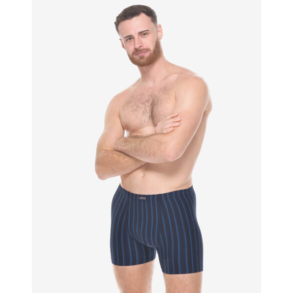 Pánske boxerky Gino viacfarebné (74178-DCMMBM) 66228284